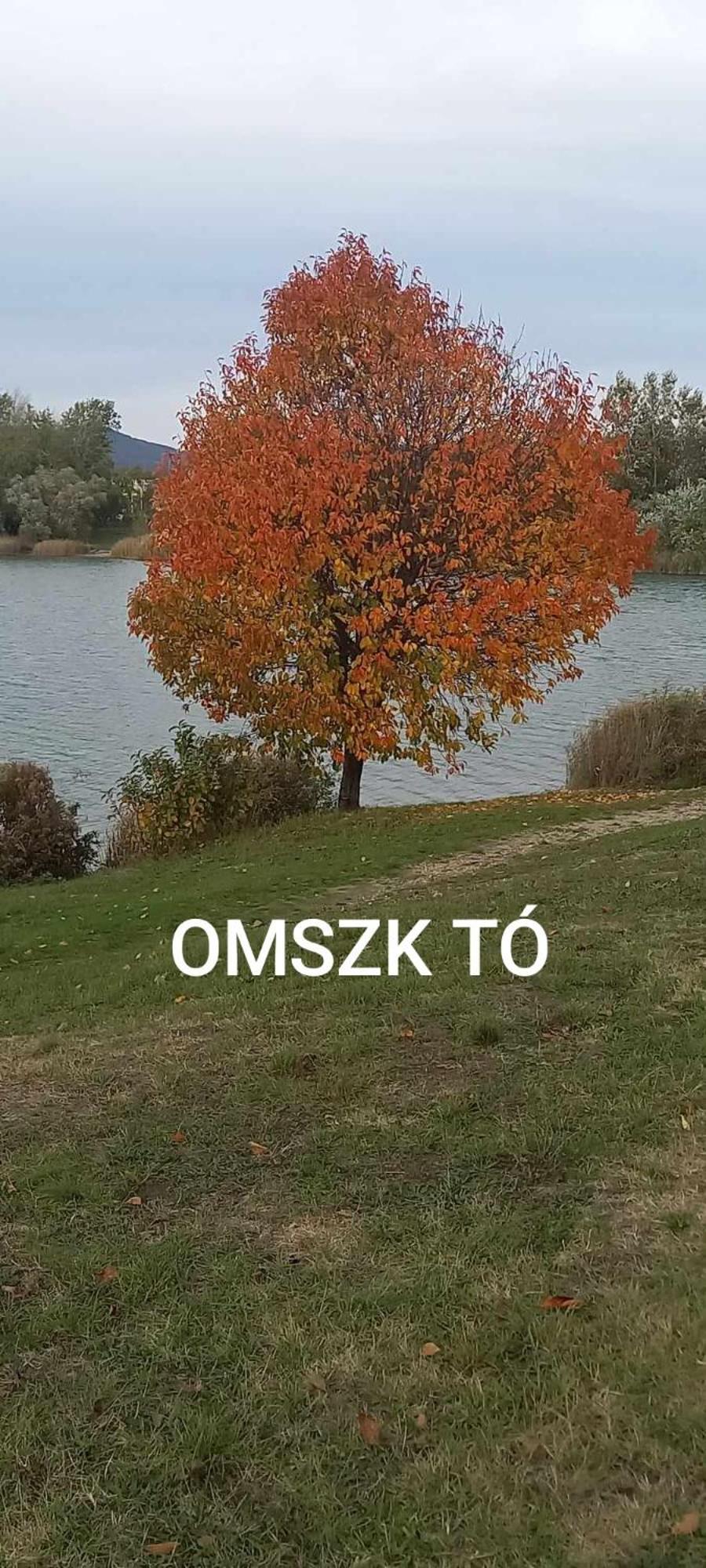Zen Apartman Budakalasz Εξωτερικό φωτογραφία